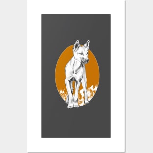 Young Dingo drawing - orange background Posters and Art